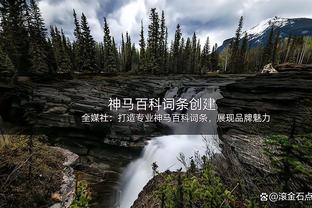 美记：目前对德章泰-穆雷提出实质报价的只有湖人和爵士